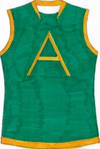 AFA Jumper